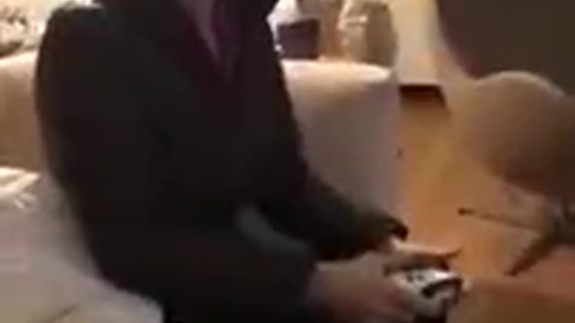 Dog Looks Concerned About Woman Playing Video Game!