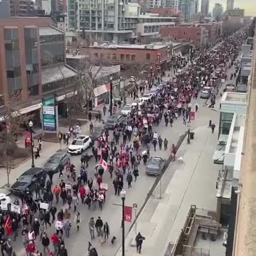 Canada, grande marcia a supporto truckers