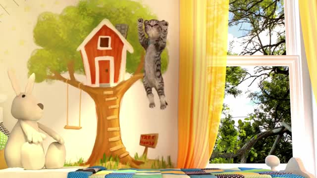 el gato en la vida real