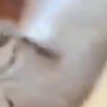 2021 cute pupps and kittens #5