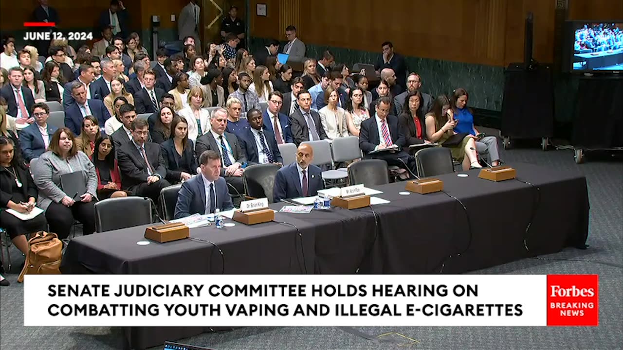 Jon Ossoff Grills Witness On The Sale Of Flavored E-Cigarettes In The United States