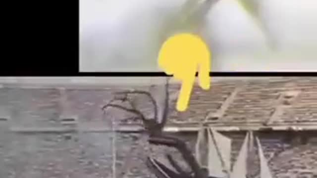 what the hell has this to do with Sport?