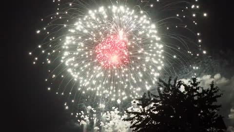 gorgeous fireworks (3)