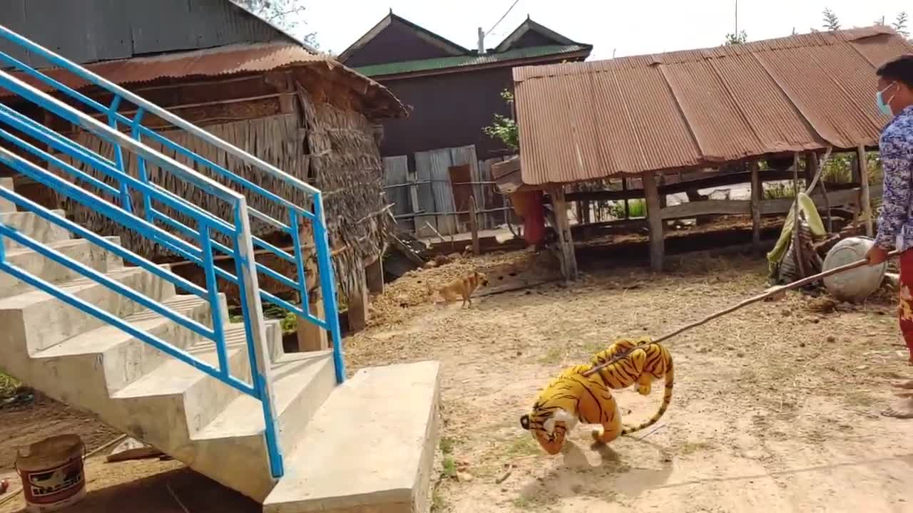 Wow Amazing Must Watch!!! Fake Tiger Prank on Dog So Funny Comedy Video 2021