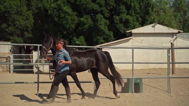 A Woman Walking on the Ranch with Her Horse