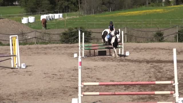 A remembrance video of a beloved horse