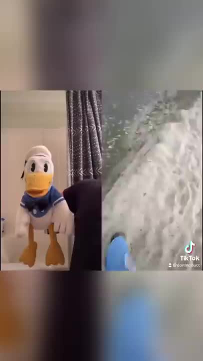 Donald Duck is worried #Shorts