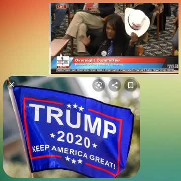 Witness Speaks her Mind about The Voting Fraud -