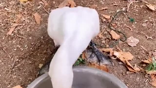 Can really eat