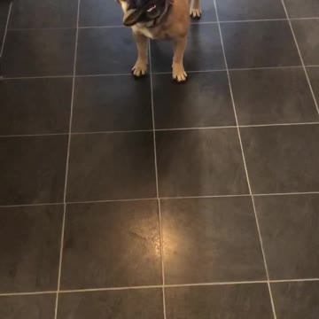 Throw your own treat