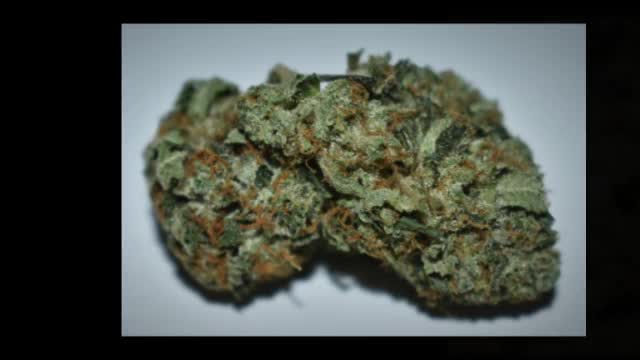 Order Hybrid Weed Online Canada