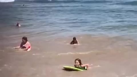 Funny Beach Boogie Board Fails