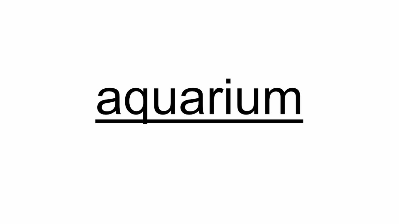 Aquarium