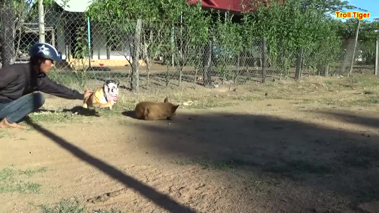 56 second videos