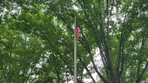 Patriotism should not just be expressed on holidays