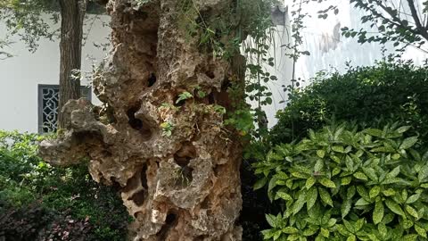 This rockery is covered with all kinds of grass