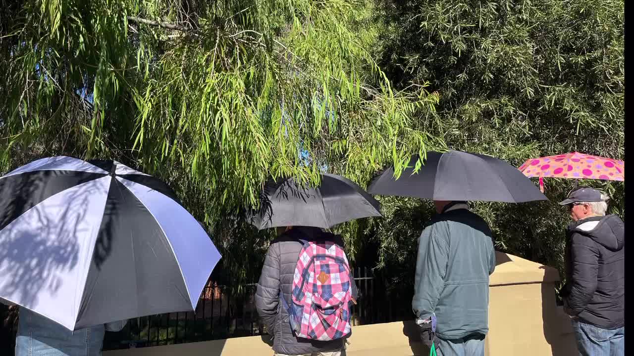 The Umbrella People at Government House - Thursday 25th August 2022 👨‍👩‍👧‍👦⛱👨‍👩‍👧‍👦☂️👨‍👩‍👧‍👦☔️