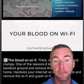 📶The blood on wi-fi