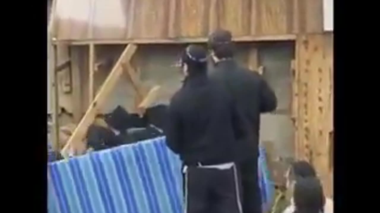 Rabbi's Tossing Child Size Mattress From Tunnels