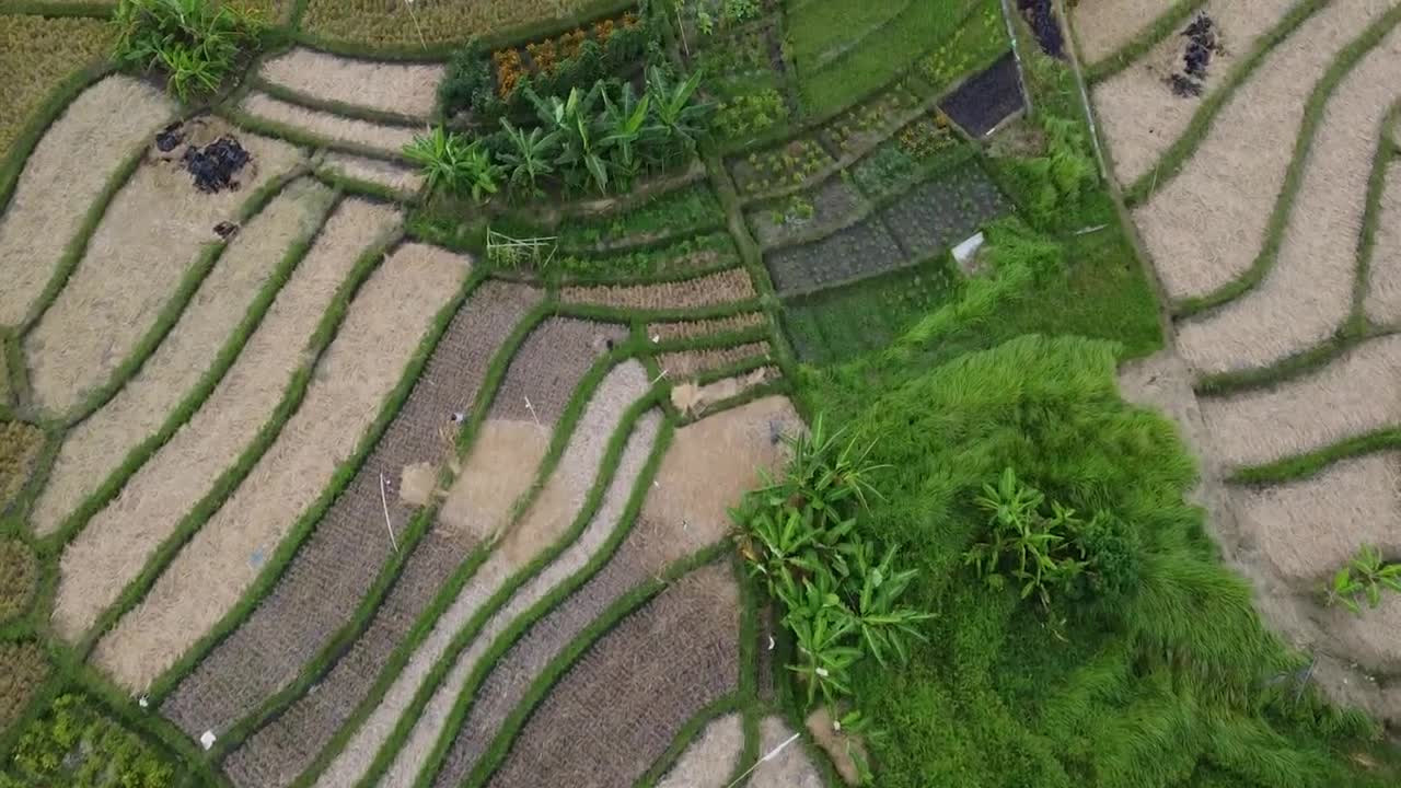 BALI INDONESIA Landscape Beauty