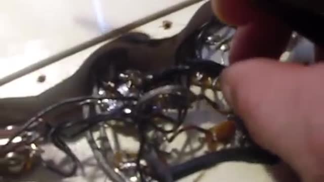 GIBSON 2011 SG WIRING RATS NEST