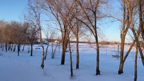 Winter walk