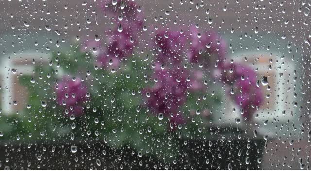 Rain & Deep Thunder Nature Sounds for Relax, Study, Sleep