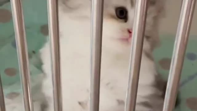 Do not naughty to sleep