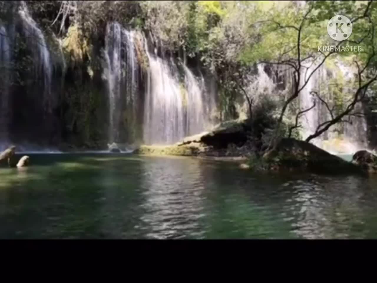 Video nature 2021