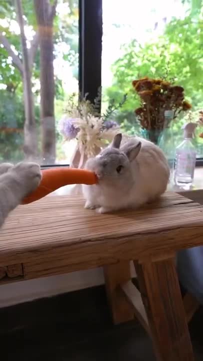 Waiter! Bring me food!