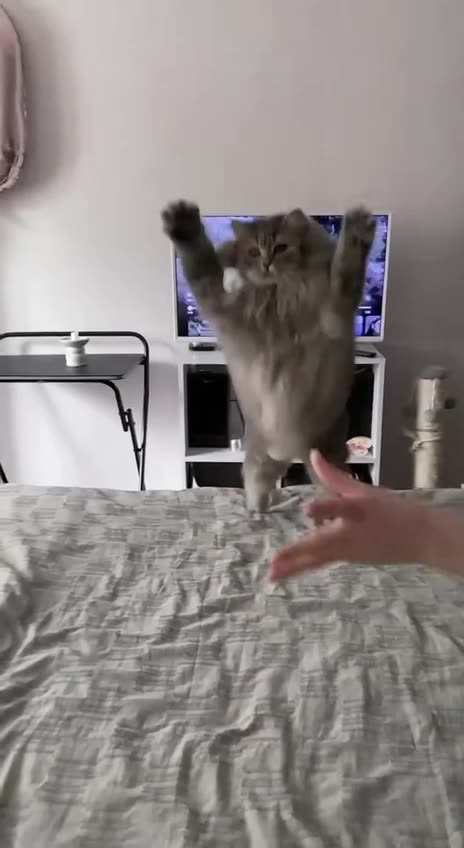 I got it I got it 😂😂😂😂