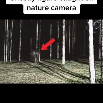 Ghost in woods