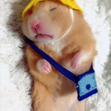 Get ready for school but fall in sleep again