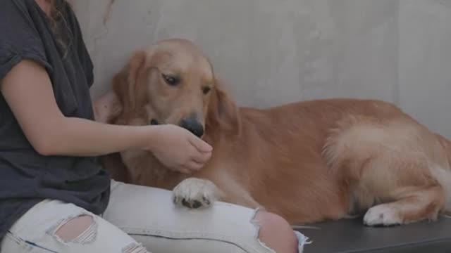 Woman playing with her dog