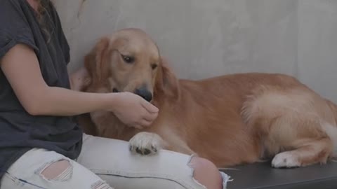 Woman playing with her dog