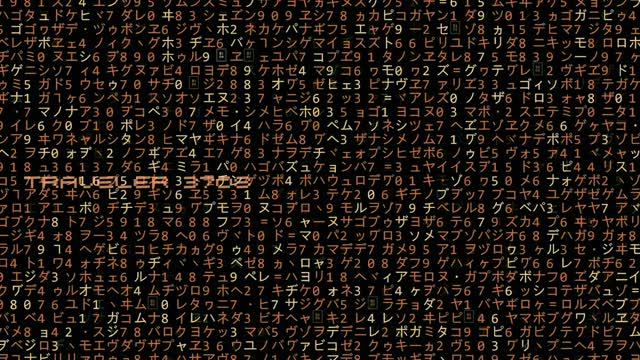 Protocol Alpha: A Travelers Tribute Short