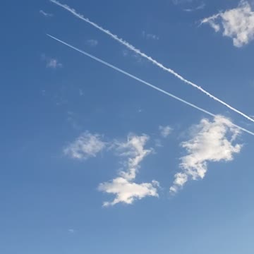 More and more daily thing now