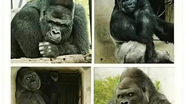 Funny memes that will make you laugh [1]