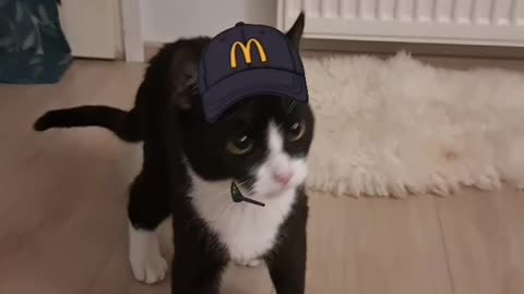 Super cute Mc 😸🧢