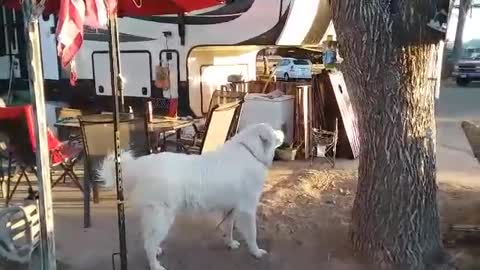 Oh Say Can You Sing