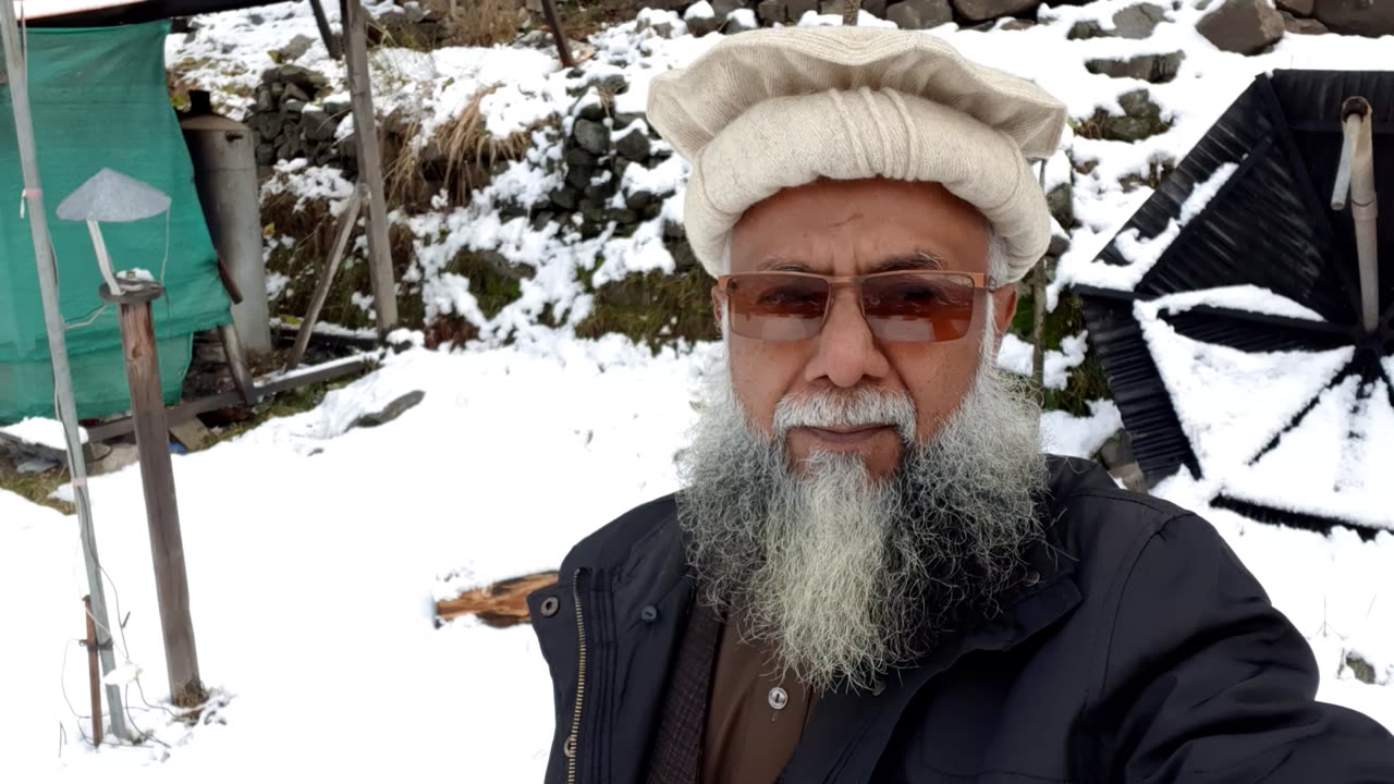 papa