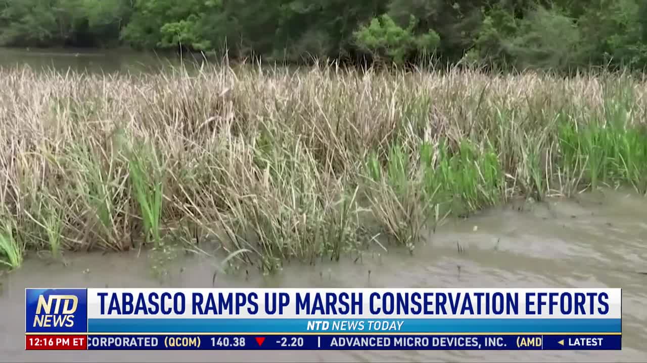 Tabasco Ramps up Marsh Conservation Efforts