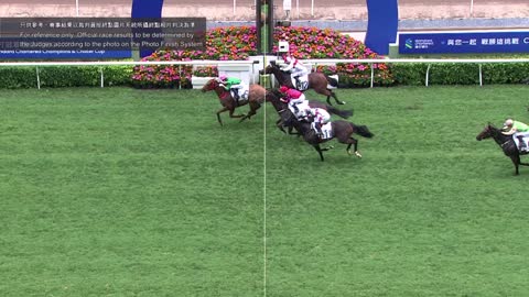 Horse_Race_2022052202_Chinese