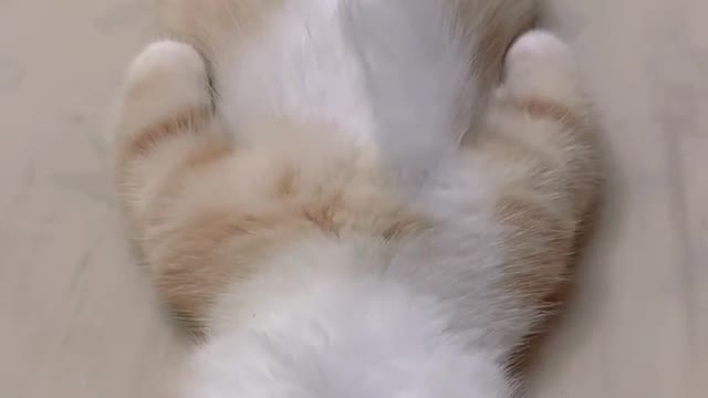 Sleep well, so comfortable