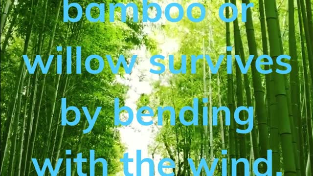 Sway with the wind!