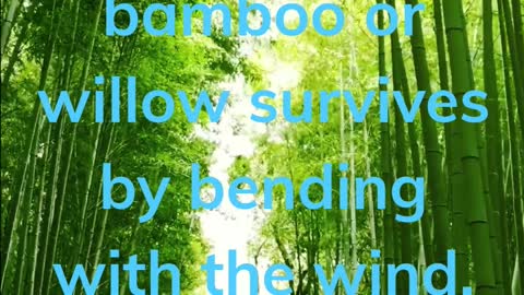 Sway with the wind!