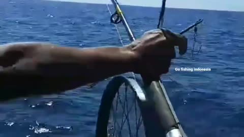 This is a beautiful and charming water-dwelling species