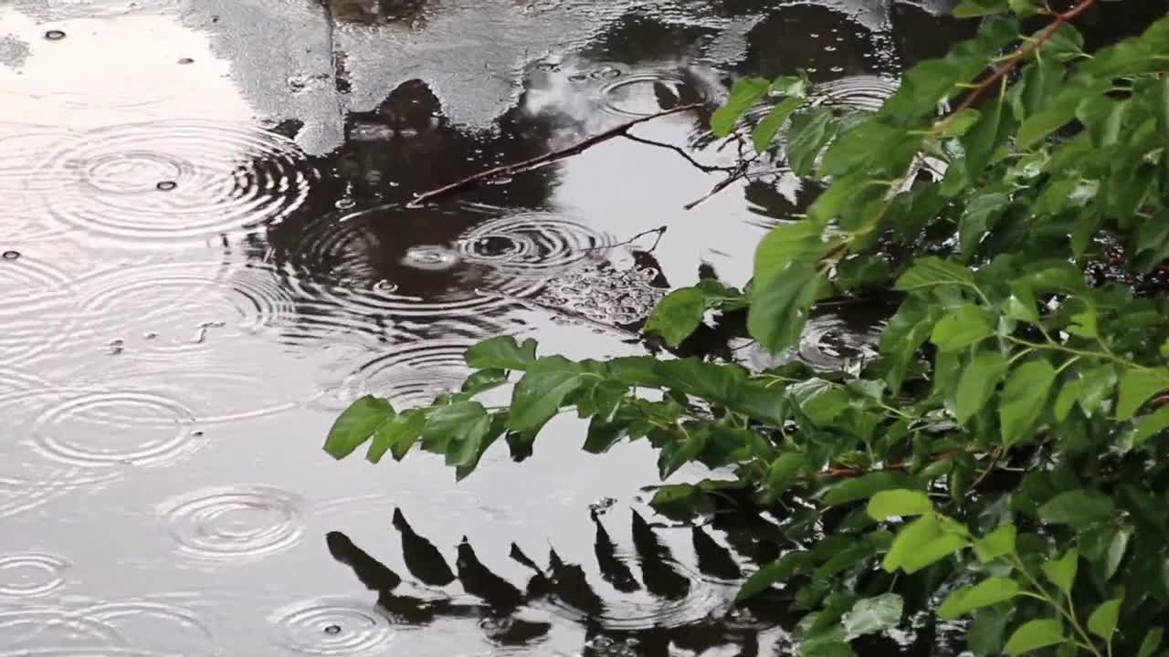 Sleep instantly with Gentle Rain Sounds | 1,5 Hour Relaxing Rain Sounds - Sleep Meditate Chill Mind