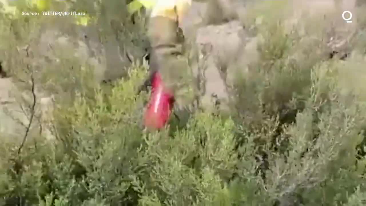 Wildfires Rage in Northern Spain Amid Extreme Heat