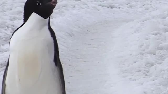 Dude, where are you going? We're over here. Get back here